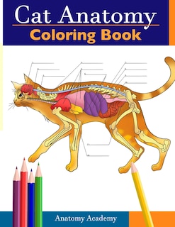 Front cover_Cat Anatomy Coloring Book