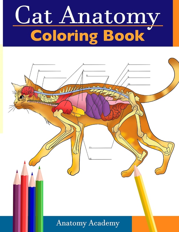 Front cover_Cat Anatomy Coloring Book
