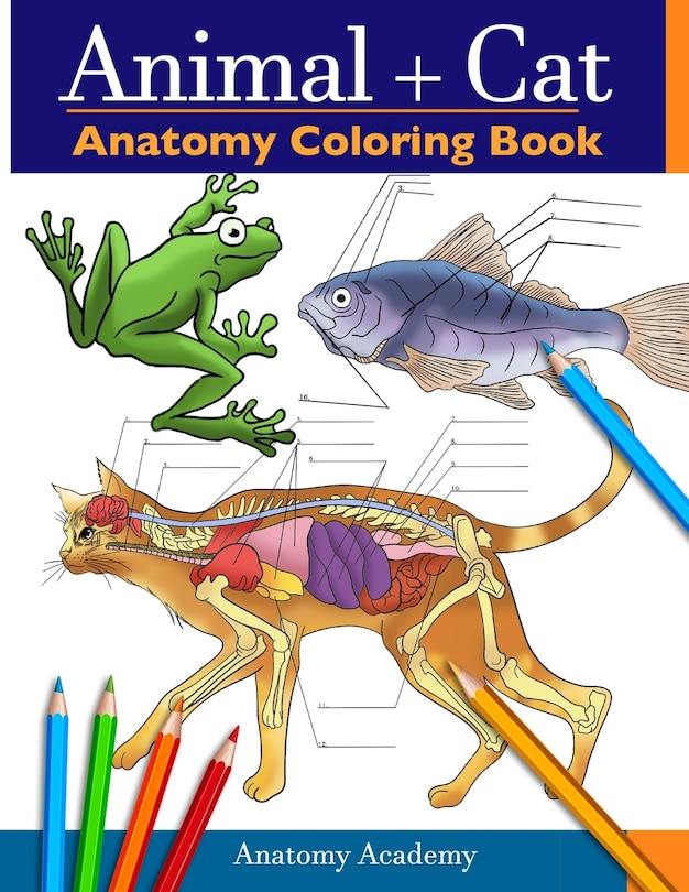 Front cover_Animal & Cat Anatomy Coloring Book