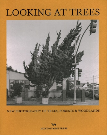 Looking at Trees: New photography of trees, forests and woodlands