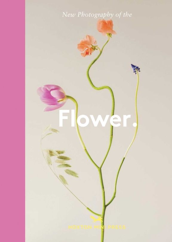 Front cover_New Photography of the Flower.