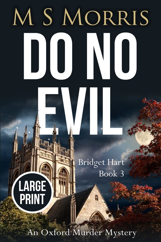 Front cover_Do No Evil (large Print)