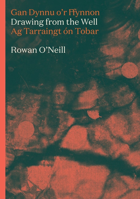 Couverture_Drawing from the Well