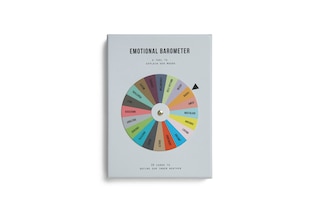 Front cover_Emotional Barometer
