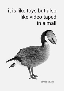 It Is Like Toys But Also Like Video Taped in a Mall