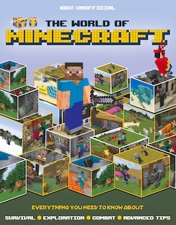 Couverture_The World of Minecraft