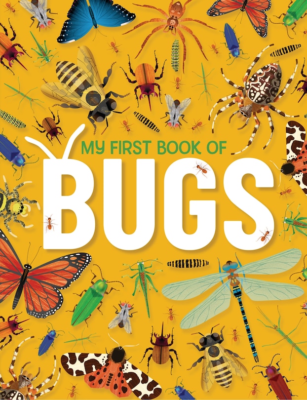 Front cover_My First Book of Bugs