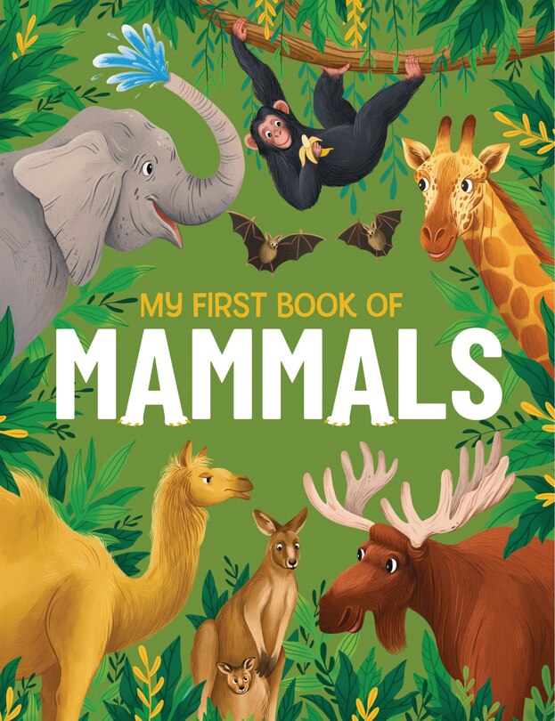 Front cover_My First Book of Mammals