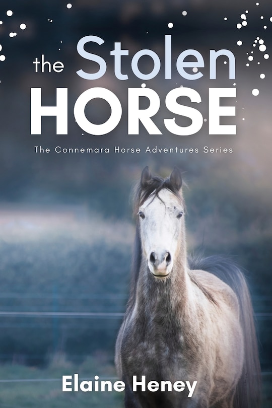 Couverture_The Stolen Horse - Book 4 in the Connemara Horse Adventure Series for Kids The Perfect Gift for Children age 8-12