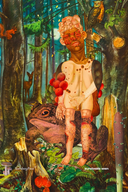 Couverture_Ines Doujak