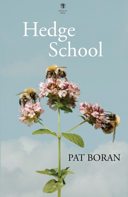 Front cover_Hedge School