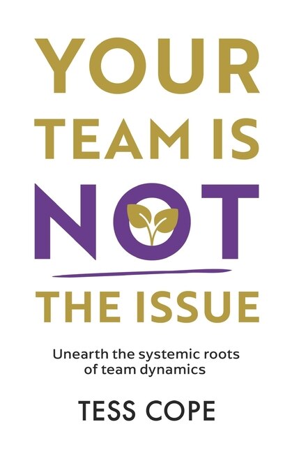 Front cover_Your Team Is Not the Issue