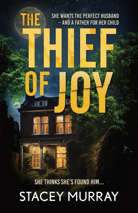 Couverture_The Thief of Joy