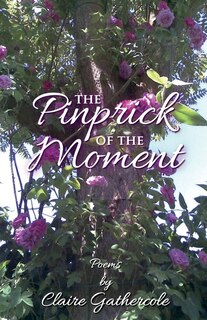 Front cover_The Pinprick of the Moment