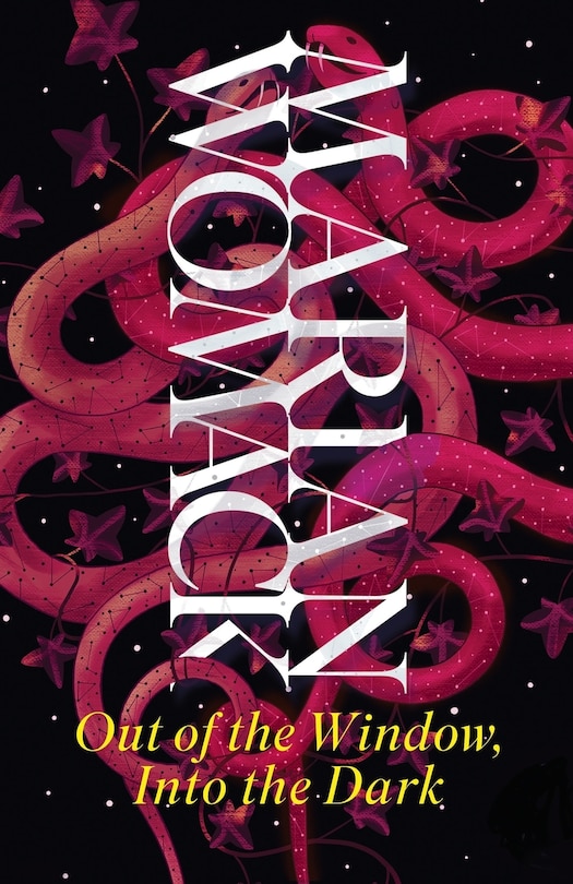 Couverture_Out of the Window, Into the Dark