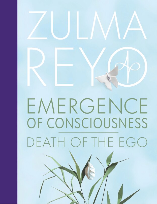 Couverture_Emergence of Consciousness