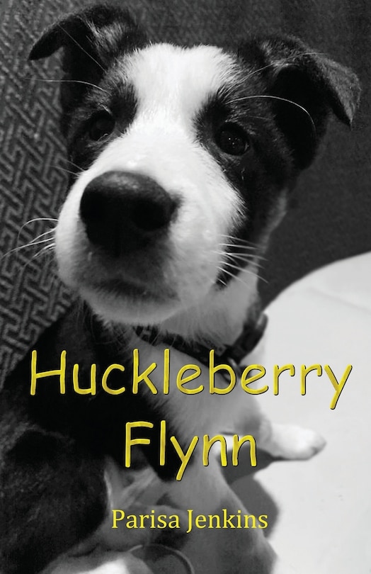 Front cover_Huckleberry Flynn