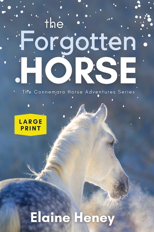 Couverture_The Forgotten Horse - Book 1 in the Connemara Horse Adventure Series LARGE PRINT