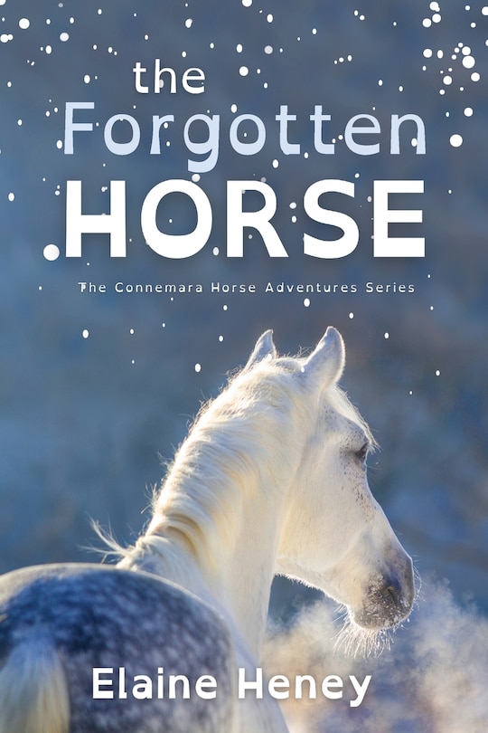 Front cover_The Forgotten Horse - Dyslexia Friendly