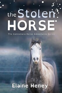 Front cover_The Stolen Horse - Dyslexia Friendly