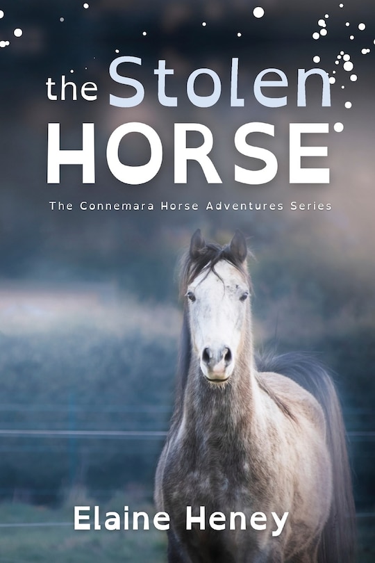 Front cover_The Stolen Horse - Dyslexia Friendly