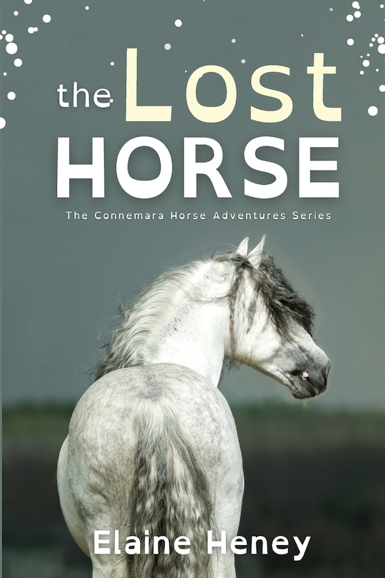 Front cover_The Lost Horse - Dyslexia Friendly