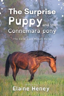 Couverture_The Surprise Puppy and the Connemara Pony - Dyslexia Friendly
