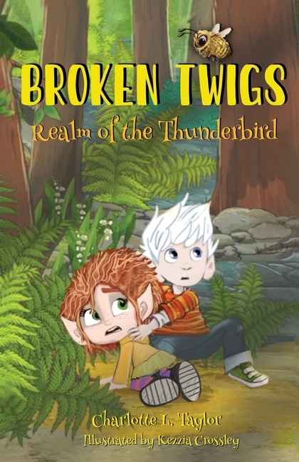 Couverture_Broken Twigs