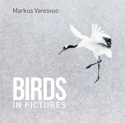 Couverture_Birds in Pictures
