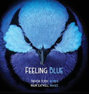 Couverture_Feeling Blue