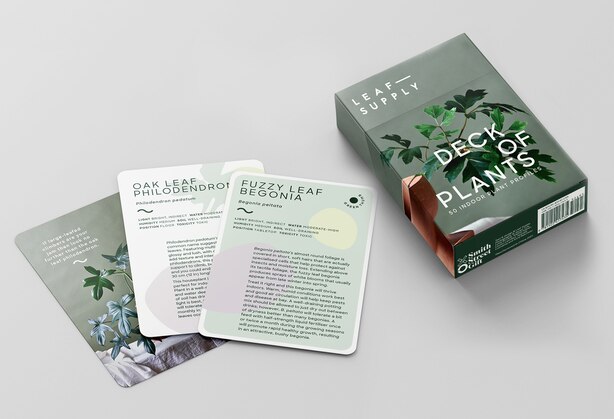 Leaf Supply Deck Of Plants: 50 Indoor Plant Profiles by Lauren Camilleri