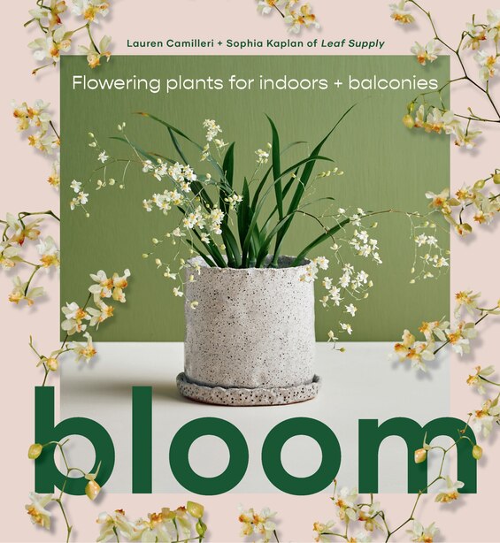 Bloom: Flowering Plants For Indoors And Balconies by Lauren Camilleri