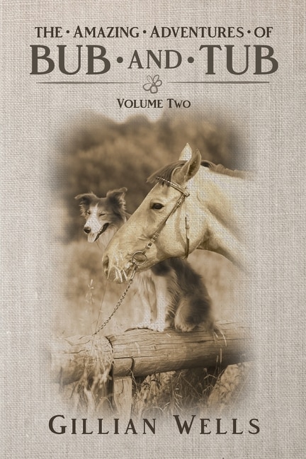 Front cover_The Adventures of Bub & Tub Volume Two
