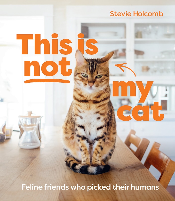 Couverture_This Is Not My Cat