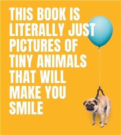 This Book Is Literally Just Pictures of Tiny Animals That Will Make You Smile