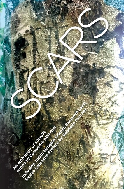 Front cover_Scars