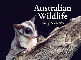 Front cover_Australian Wildlife in Picture