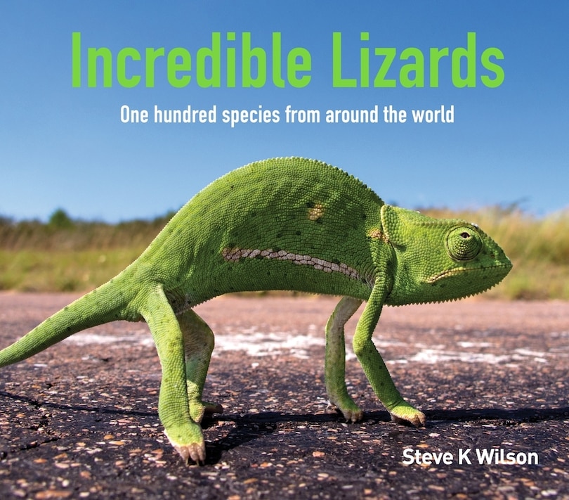 Front cover_Incredible Lizards