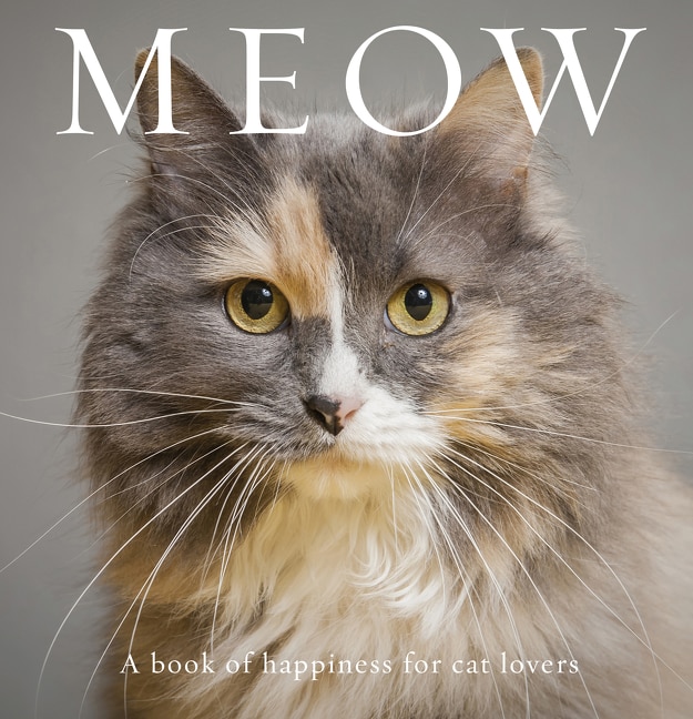 Couverture_Meow