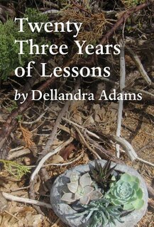 Twenty Three Years of Lessons: Twenty Something Chronicles