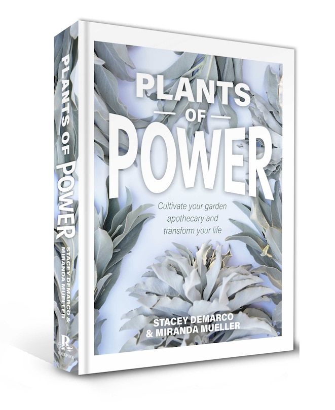 Couverture_Plants Of Power