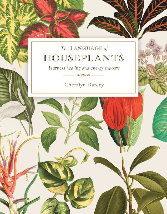 The Language of Houseplants: Plants for home and healing