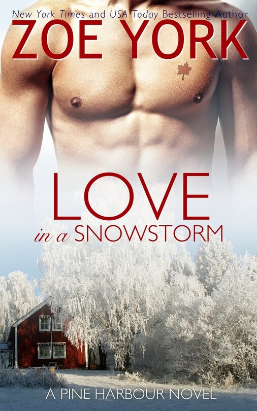 Front cover_Love In A Snowstorm