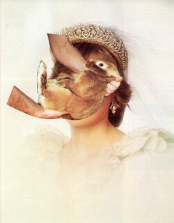 Front cover_Classification Crisis