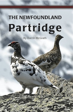 NEWFOUNDLAND PARTRIDGE