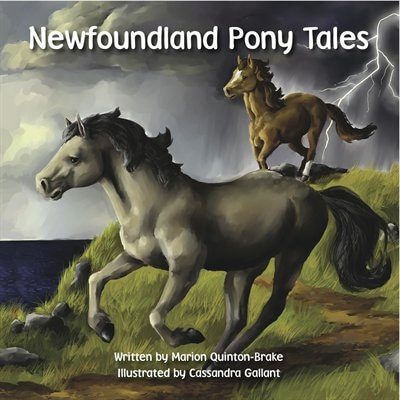 Couverture_Newfoundland  Pony Tales