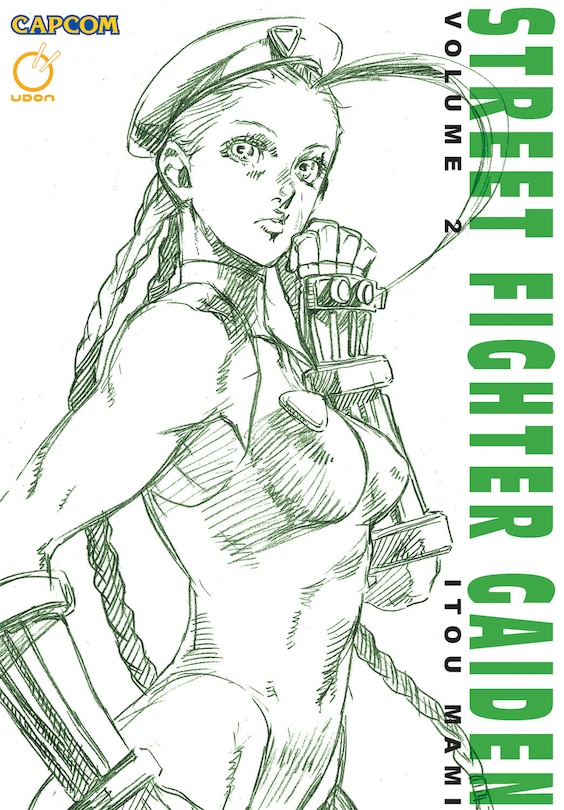Front cover_Street Fighter Gaiden Volume 2