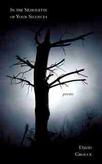 In The Silhouette Of Your Silences by David Groulx