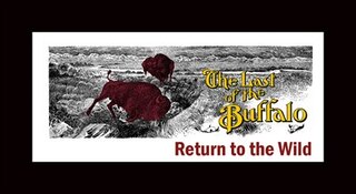Front cover_The Last of the Buffalo Return to the Wild