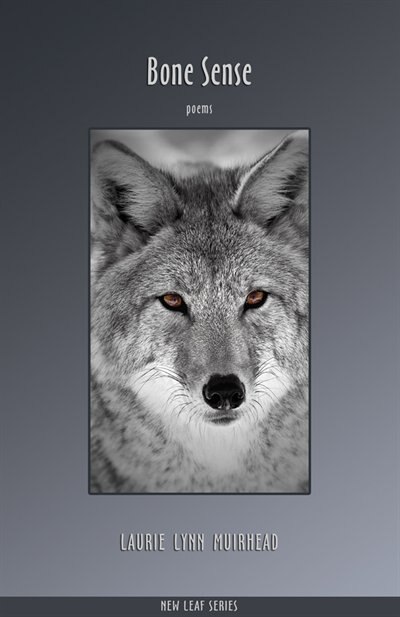 Front cover_Bone Sense